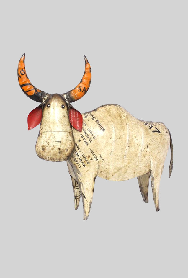 Longhorn Cow – Everyday Artifact