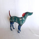 Aqua Dog