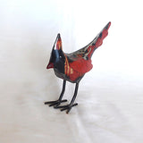 Cardinal Bird