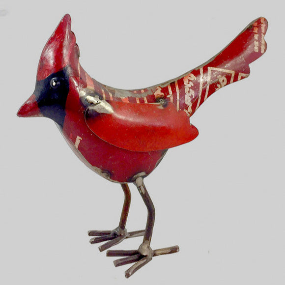 cardinal bird