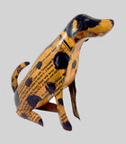 spotted dog