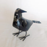 Raven
