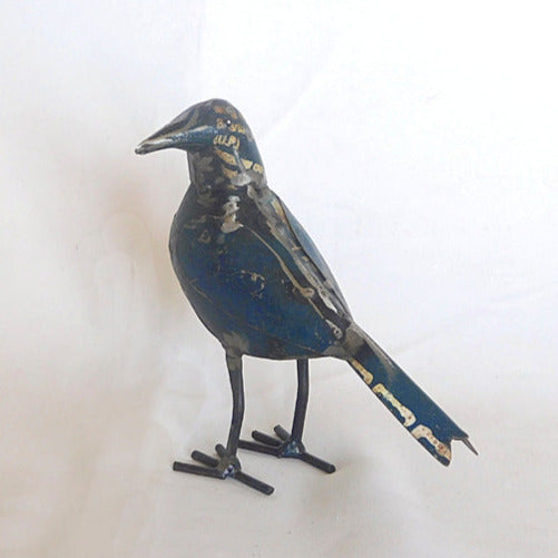 dark blue bird