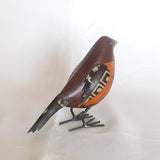 Robin Bird