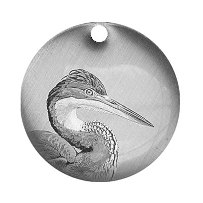 Blue Heron Bird