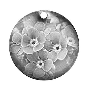 Forget me Not