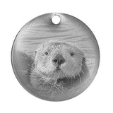 Sea Otter